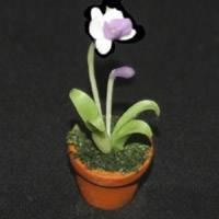 Dolls House Miniature Potted Puple and White Flower