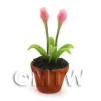 Dolls House Miniature Potted Pink Tulip