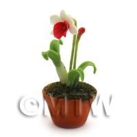 Dolls House Miniature Potted White and Red Flower