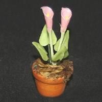 Dolls House Miniature Potted Pink Opening Cala Lillies