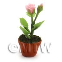 Dolls House Miniature Potted Pink Rose
