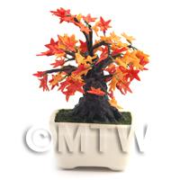 Dolls House Miniature Japanese Maple Bonsai Tree