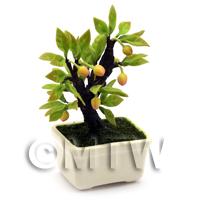 Dolls House Miniature Fruiting Peach Bonsai Tree 