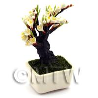 Dolls House Miniature Bonsai Lilac Style Tree 