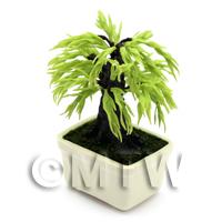 Dolls House Miniature Bonsai Willow Style Tree