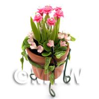 Miniature Pink   White Flowers In A Standing Pot 