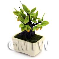 Dolls House Miniature Yellow Fruiting Bonsai Tree