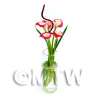 5 Miniature Pink And White Calla Lilies in a Glass Vase