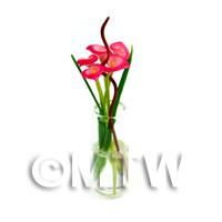 5 Miniature Dark Pink Calla Lilies in a Glass Vase