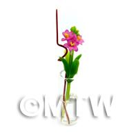 3 Miniature Mauve Tropical Flowers in a Glass Vase 