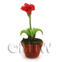 Dolls House Miniature Potted Red Carnation