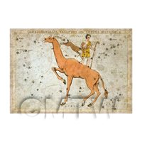 Dolls House Miniature Aged 1820s Star Map Depicting Camelopardalis