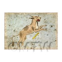 Dolls House Miniature Aged 1820s Star Map Depicting Lynx