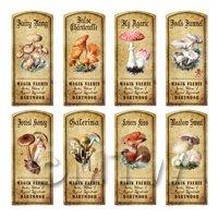 Dolls House Apothecary 8 Fungus / Mushroom Colour Labels Set 2