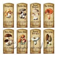 Dolls House Apothecary 8 Fungus / Mushroom Colour Labels Set 3