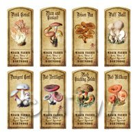 Dolls House Apothecary 8 Fungus / Mushroom Colour Labels Set 4