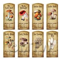 Dolls House Apothecary 8 Fungus / Mushroom Colour Labels Set 5