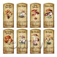 Dolls House Apothecary 8 Fungus / Mushroom Colour Labels Set 6