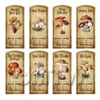 Dolls House Apothecary 8 Fungus / Mushroom Colour Labels Set 6