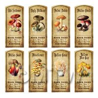 Dolls House Apothecary 8 Fungus / Mushroom Colour Labels Set 7