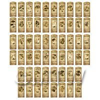 Dolls House Miniature Apothecary Set of 56 Fungi / Toadstall Labels