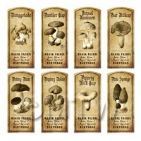 Dolls House Miniature Apothecary 8 Fungus / Mushroom Labels Set 3