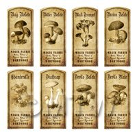 Dolls House Miniature Apothecary 8 Fungus / Mushroom Labels Set 1