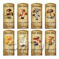 Dolls House Apothecary 8 Fungus / Mushroom Colour Labels Set 1