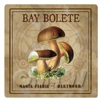 Dolls House Miniature Apothecary Bay Bolete Fungi Colour Box Label