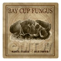 Dolls House Miniature Apothecary Bay Cup Fungus Box Sepia Label