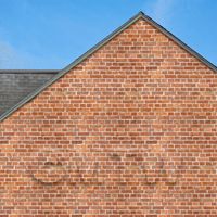 stone paper in setting to show scale