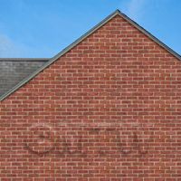 stone paper in setting to show scale
