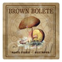 Dolls House Miniature Apothecary Brown Bolete Fungi Colour Box Label