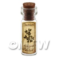 Dolls House Apothecary Buckthorn Herb Short Sepia Label And Bottle