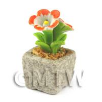 Miniature Handmade Dual Coloured Ceramic Flower (CFD25)