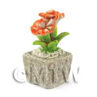 Miniature Handmade Dual Coloured Ceramic Flower (CFD26)