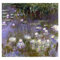 Claude Monet Painting  Water Lilies