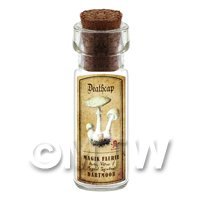 Dolls House Apothecary Deathcap Fungi Bottle And Colour Label