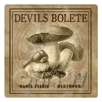 Dolls House Miniature Apothecary Devils Bolete Fungi Sepia Box Label