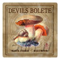 Dolls House Miniature Apothecary Devils Bolete Fungi Colour Box Label