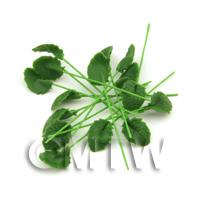 1/12th scale - Dolls House Miniature Textured Rounded Leaf Stem
