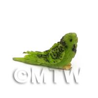 Dolls House Miniature Air Dried Clay Green Budgie