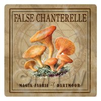 Dolls House Miniature Apothecary False Chanterelle Fungi Colour Box Label