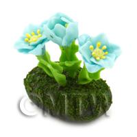 Dolls House Miniature Flower Bed Common Poppy