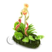 Dolls House Miniature Flower Bed Ladies Slipper Orchid