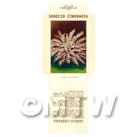 Senecio Cineraria Dolls House Miniature Seed Packet 