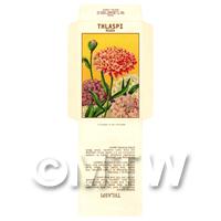 Thlaspi Dolls House Miniature Seed Packet 