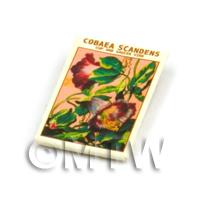 Dolls House Flower Seed Packet - Cobaea Scandens