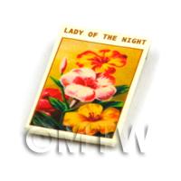 Dolls House Flower Seed Packet - Lady Of The Night