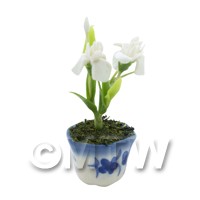 Dolls House Miniature Potted White Iris